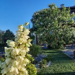 20220626_065432.jpg
