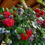 20220624_092807.webp