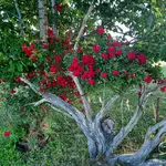 20220626_062145.webp