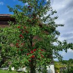 20220624_094627.jpg