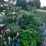 20220626_062315.webp