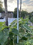 k-IMG_3263.JPG