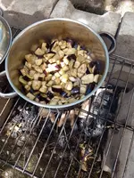 IMG_20220625_163131.jpg