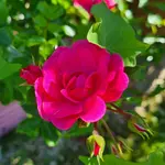 20220627_105118.webp