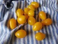 20180709_173404.webp