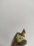 IMG_20220627_094326.jpg
