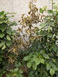 PXL_20220626_174340729.jpg