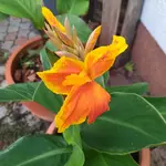 20220627_212919.webp