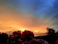 IMG-20220627-WA0018.webp