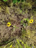 IMG_20220628_100554_1.jpg