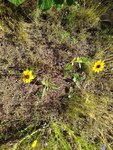 IMG_20220628_100554_1.jpg