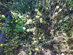 IMG_20220628_100641.jpg