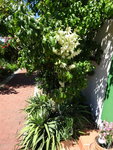 DSC02552.JPG
