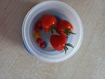 20220629_063359.jpg