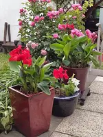 1656340088018.webp