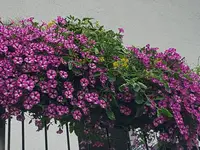 20220628_201654.jpg