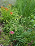 20220628_201633.jpg
