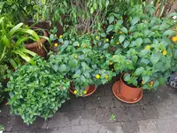 20220628_201712.jpg