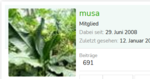 musa.PNG