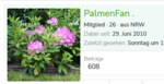 palme.PNG