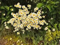 DSCF5254.webp