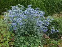 DSCF5255.webp