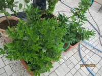 IMG_5704.webp