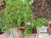 IMG_5703.webp