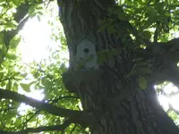 BILD0010.webp