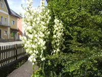 BILD0112.webp
