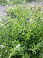20220628_182353.webp