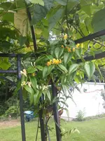 20220628_182251.jpg