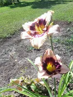 20220628_105834.jpg