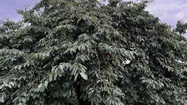 71BCEA77-3F08-4017-BA48-3449B19D28CB.jpeg