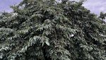 71BCEA77-3F08-4017-BA48-3449B19D28CB.jpeg