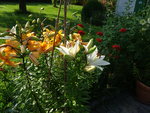 DSC02554.JPG