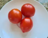 20220630_133350.webp