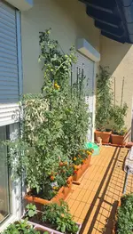 20220630_152017.jpg