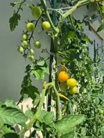 20220630_151858.jpg