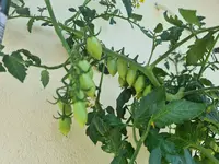 20220630_151907.jpg