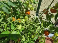20220630_151840.jpg