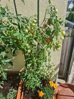 20220630_151836.jpg