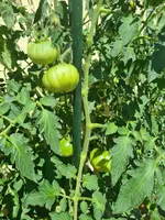 20220630_151831.jpg