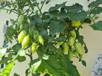 20220630_151814.jpg