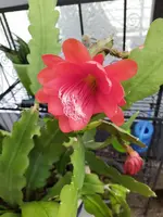 IMG_20220630_113742_3.webp