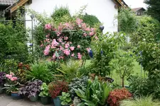 Terasse       2822.webp