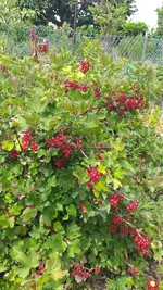 20220701_121430.webp