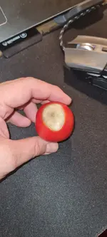 Tomate Erwin WhatsApp Image 2022-07-01 at 20.17.02.webp