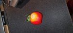 Tomate Erwin WhatsApp Image 2022-07-01 at 20.17.03.jpg
