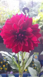 20220629_212016.webp